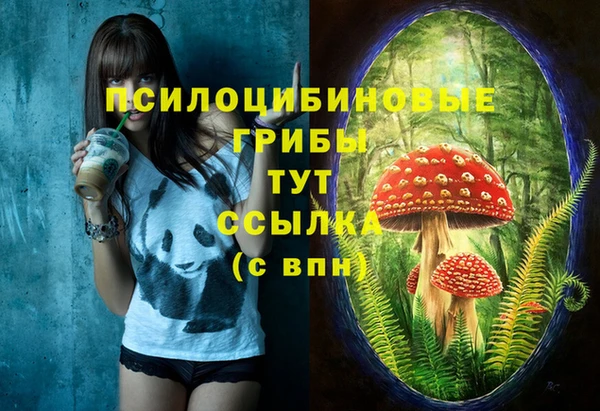 spice Костерёво