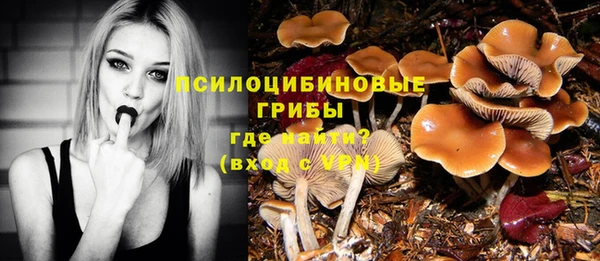 шишки Краснотурьинск