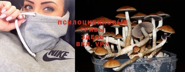а пвп мука Корсаков