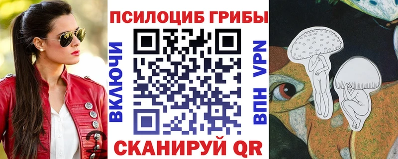 Галлюциногенные грибы Psilocybe  Купить где  Великие Луки 
